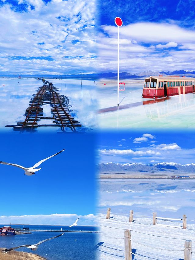 【青海】遇見大西北嘅治癒浪漫