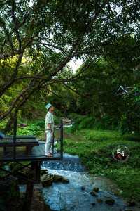 隱於雨林與山河間琅勃拉邦不可錯過的瑰麗棲所