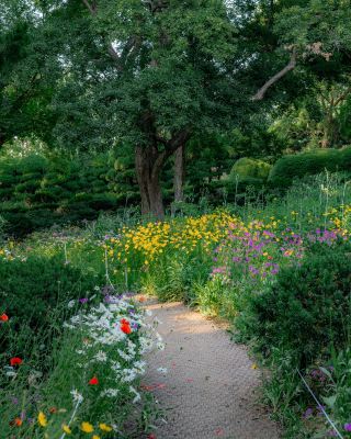 Hidden Gem of Iksan｜Healing Moments in Hwangdeung Garden's Flower Season