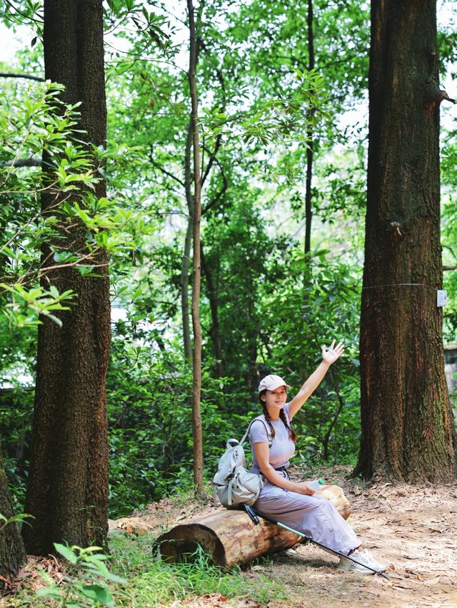 白雲山又新增行山好去處六榕小徑