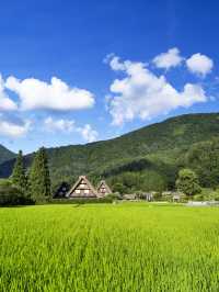 日本親子度假嘅天花板，好玩到唔想返屋企