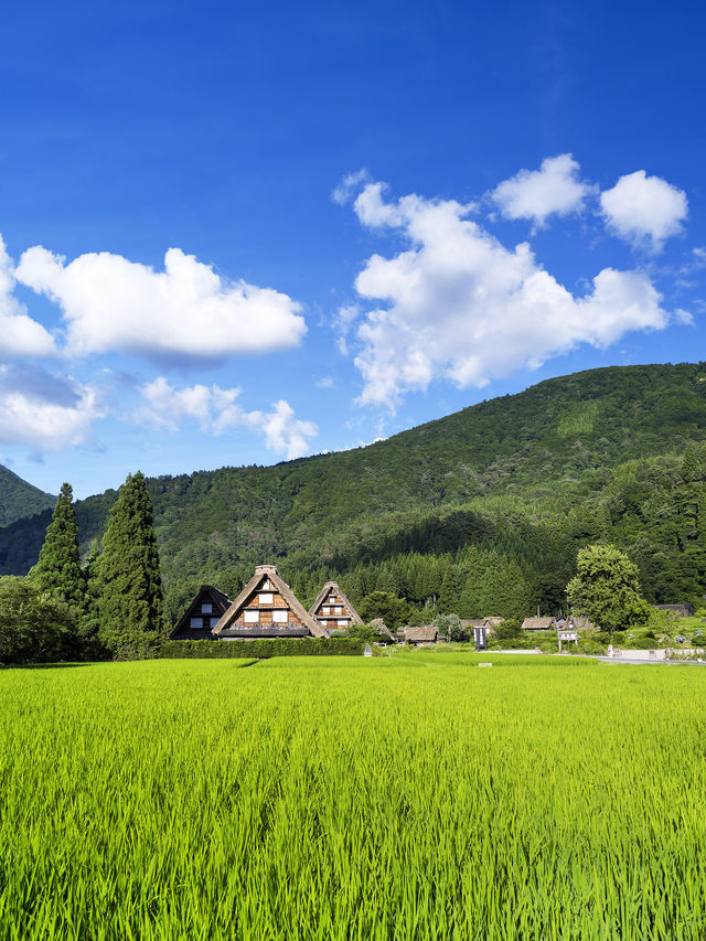 日本親子度假嘅天花板，好玩到唔想返屋企
