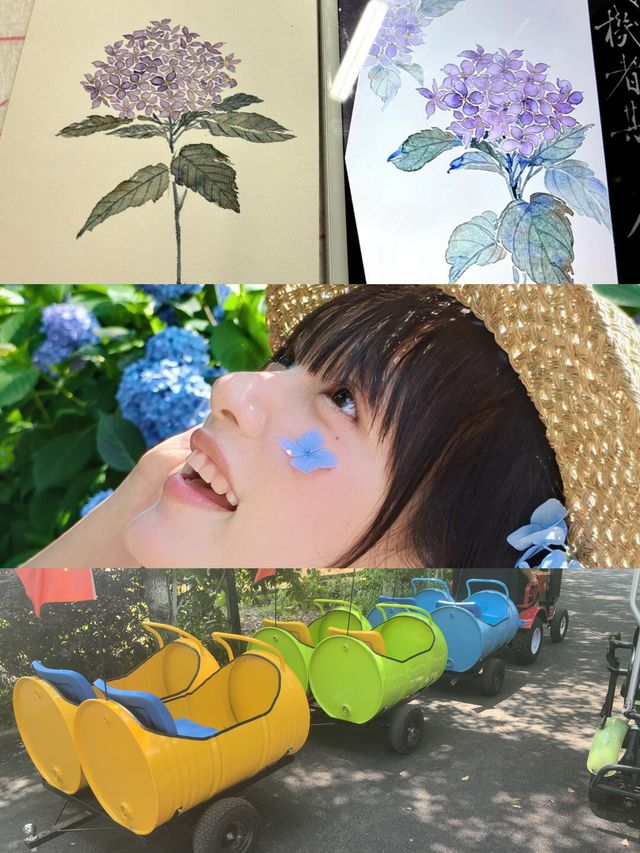 揚州慢活，夏天點可以冇呢片花海呢