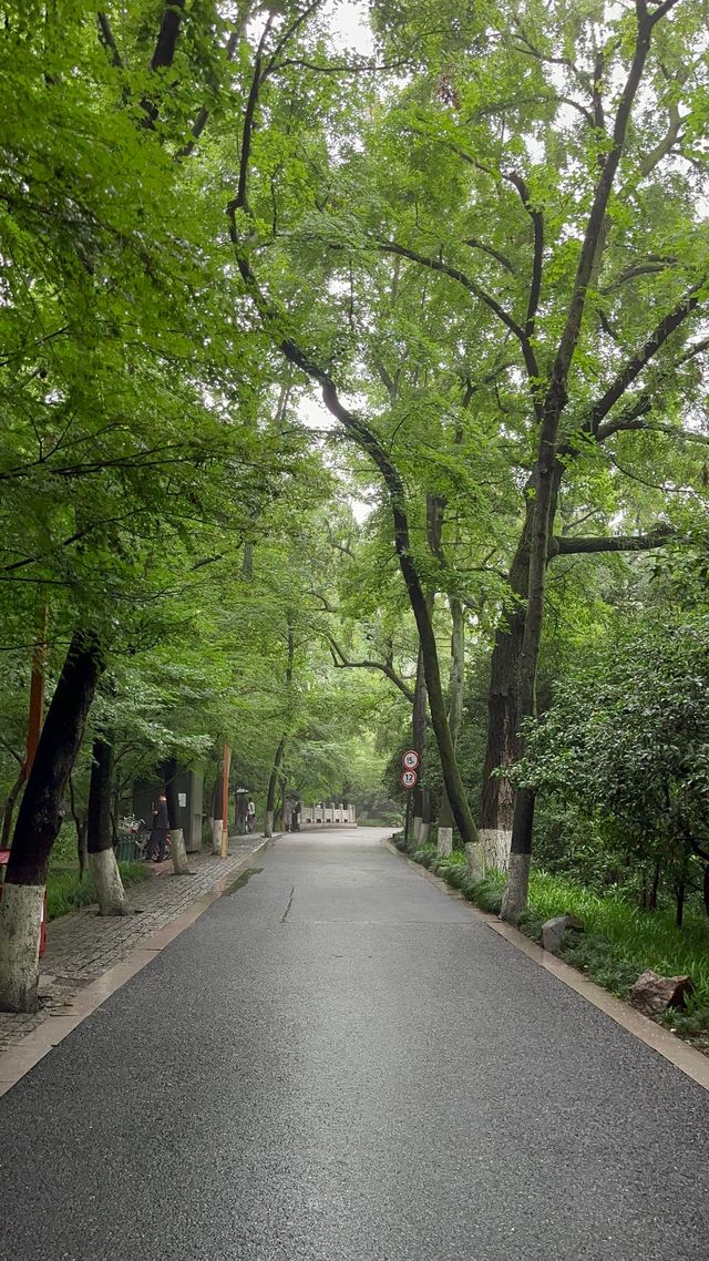 【杭州旅遊必備】九溪十八澗徒步路線，一篇搞掂！