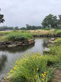 煙雨圓明園：江南韻與歷史愁