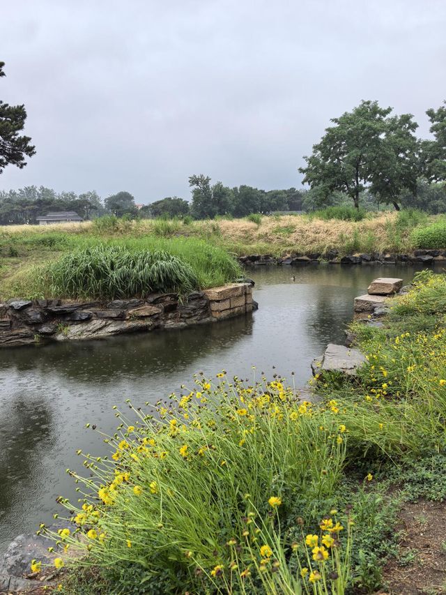煙雨圓明園：江南韻與歷史愁