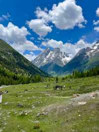 講真話可能難聽，但呢啲都係四姑娘山6-7月嘅真實情況