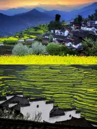 住進篁嶺的山野夢境，推窗即見綠野仙蹤