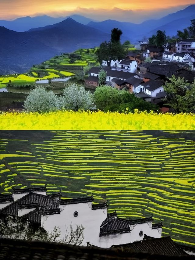 住進篁嶺的山野夢境，推窗即見綠野仙蹤
