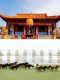 暑假到「牛奶湖」展開草原文化研學之旅！