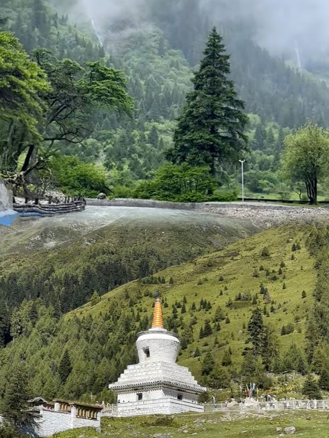 四姑娘山超靚，但真心唔建議6月去，因為....