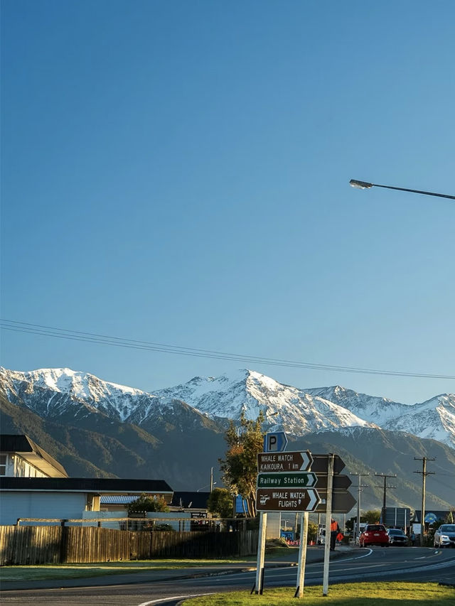 🌿 NZ Dreamscape: 7 Days in Middle-Earth!
