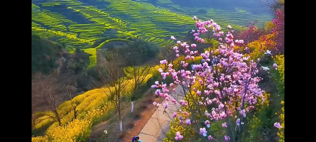 邂逅篁嶺，赴一場夢幻的田園之約   踏入篁嶺，彷彿穿越時空，走進了一幅被歲月珍藏的江南畫卷。連綿的山