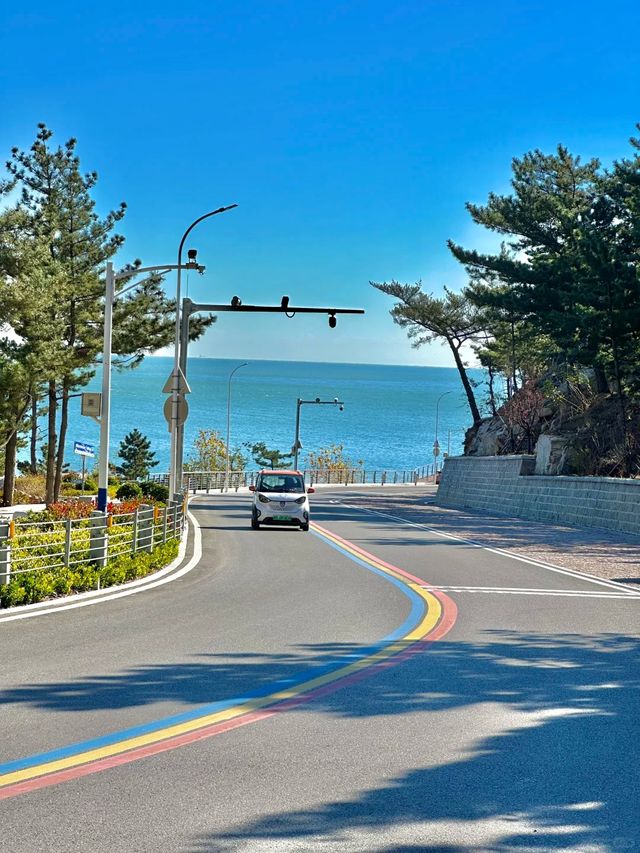 青島環海巴士1蚊暢遊路線，打卡嶗山絕美小眾風景