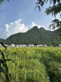 Scenic beauty in JiuyiShan, Hunan! 