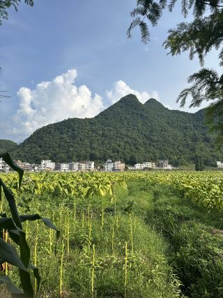 湖南省の九嶷山の絶景！
