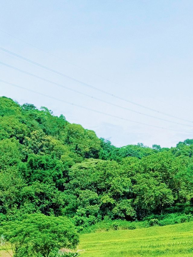 廣州金坑綠谷：免費放電嘅童話田園