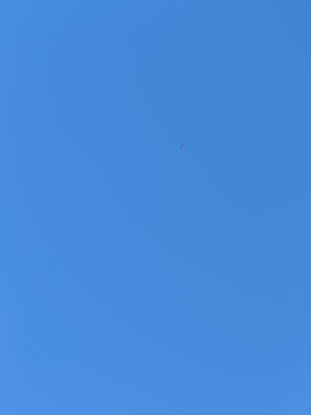 317川藏線Day3，色達係虔誠嘅淨土