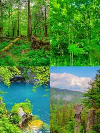 長白山濕地漫遊
