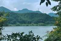 富春江嘅夏天