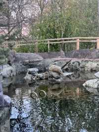 Skansen Visitor Guide – Stockholm, Sweden