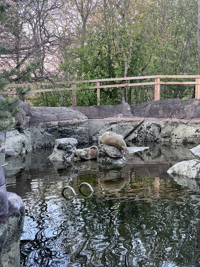 Skansen Visitor Guide – Stockholm, Sweden
