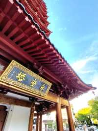 🍃《安亭老街：一場與歲月相逢的輕聲細語》