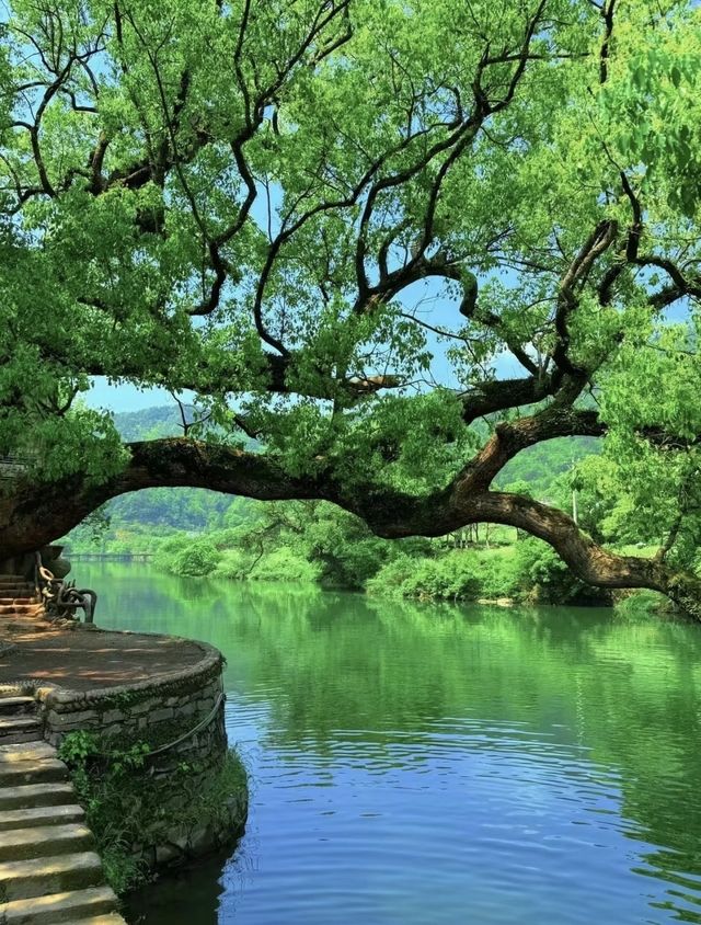 逃離煩囂，享受寧靜。