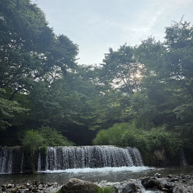 【東京避暑秘地！秋川溪谷玩水BBQ勁過吹冷氣！】