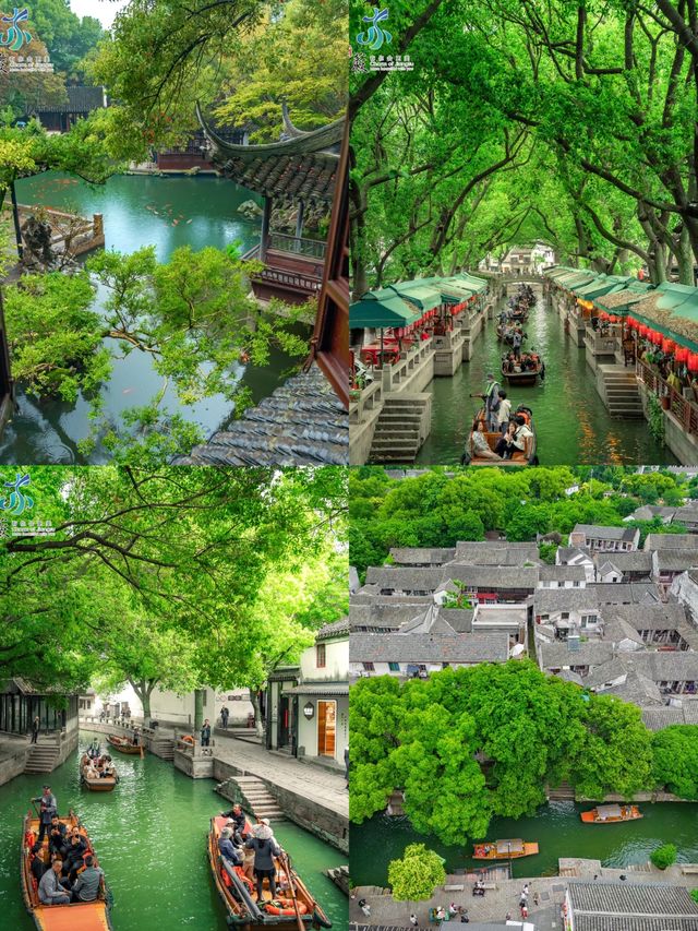同里古鎮超全攻略｜藏在江南嘅詩意水鄉，避開人潮咁樣玩