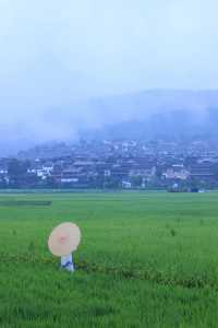 和順柏聯の煙雨暴擊!火山田園古鎮の100種詩意
