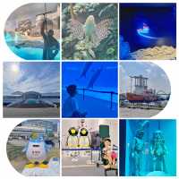 打卡日本水族館1:名古屋港水族館