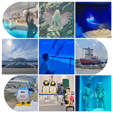 打卡日本水族館1:名古屋港水族館