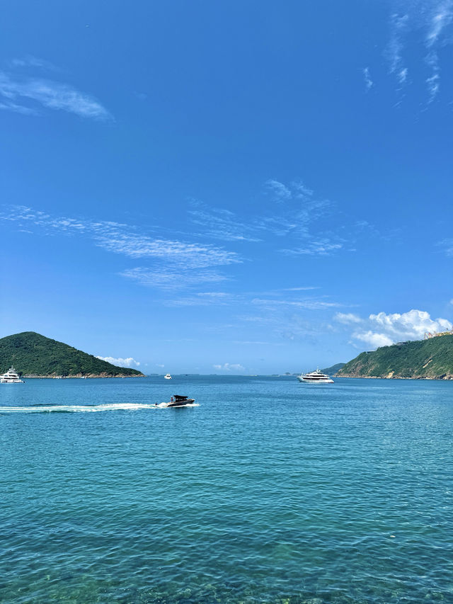 港島最美海岸線行山1.5小時新手友善路線！衝呀！