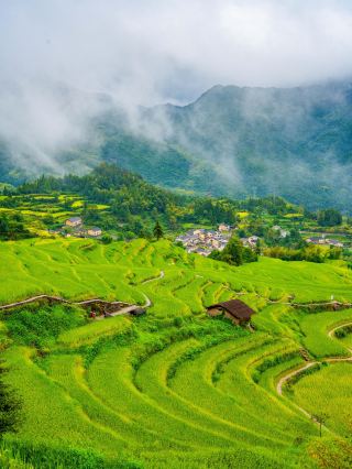 Asked like crazy on social media, it’s not Guizhou!! It’s Zhejiang!!