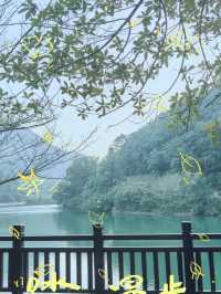 長沙「森林系遠足」：從梅溪湖到桃花嶺獨享整片城市綠洲 在長沙，隱藏著一條將湖光、山景、野趣一網打盡的