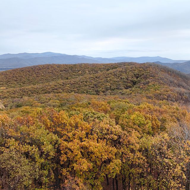 秋山詩意漫步行一一萬景山（樺川）國家森林公園