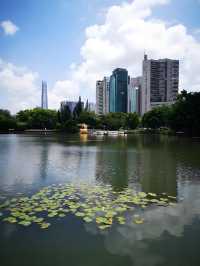 深圳荔枝公園必打卡指南