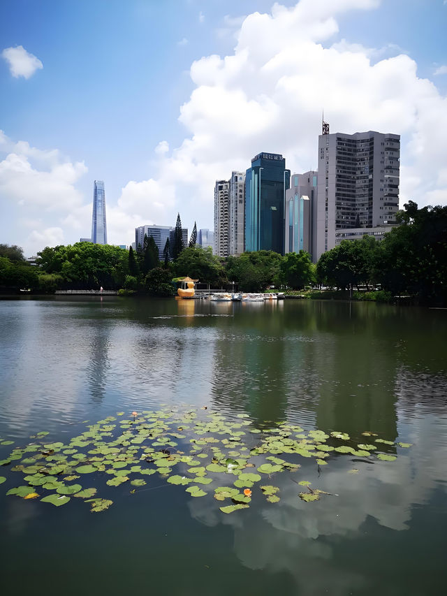 深圳荔枝公園必打卡指南