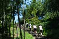 宜興1日遊：竹林深處探奇洞，自然風光一日享