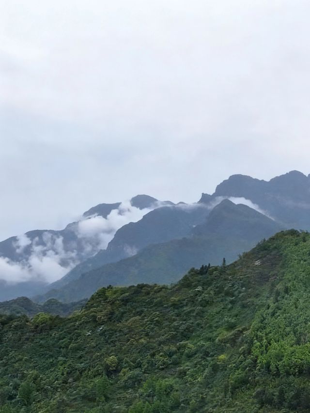 峨眉山金頂｜在雲海和佛光間找到內心的寧靜