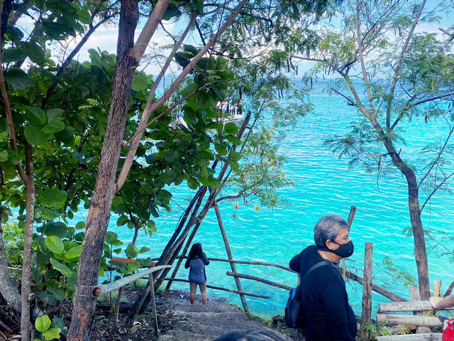 🌊 宿霧｜與鯨鯊共游的那片湛藍記憶