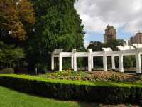 新虹橋公園漫步指南