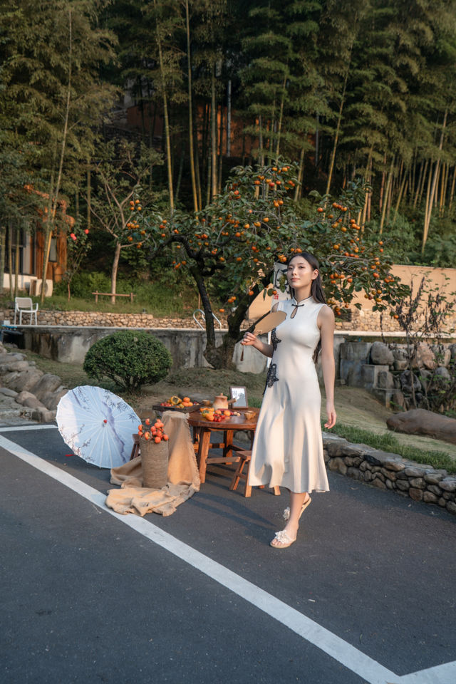 安吉溫泉美宿《小森林》同款治癒感！