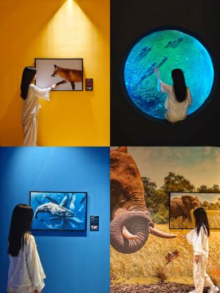Shenzhen Exhibition | BBC Earth Polar Creatures Exhibition
