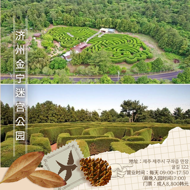 濟州的秋天,藏在風裡,也在路上 濟州的秋天,藏在風裡,也在路上