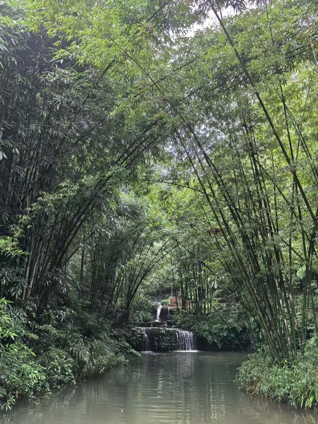 霧隱竹香踏雨行 霧隱竹香踏雨行