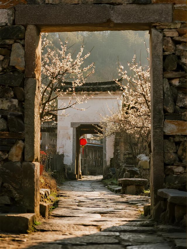粵北秋遊天花板!古道徒步+稻田小火車,娃迷上姓氏考古之旅 粵北秋遊天花板!古道徒步+稻田小火車,娃迷上姓氏考古之旅