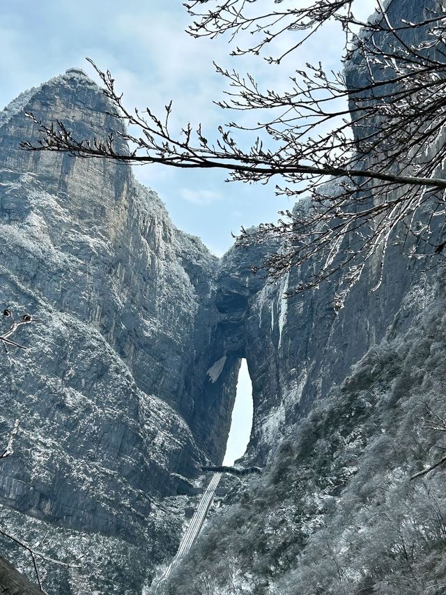 這裡不是阿凡達，是地球上的張家界！