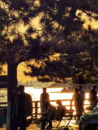 青島秋冬:闖進漫畫裡的治癒幀